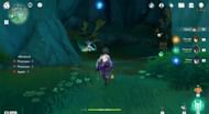 Spirit Carp and other rewards in the cave (Image via HoYoverse)